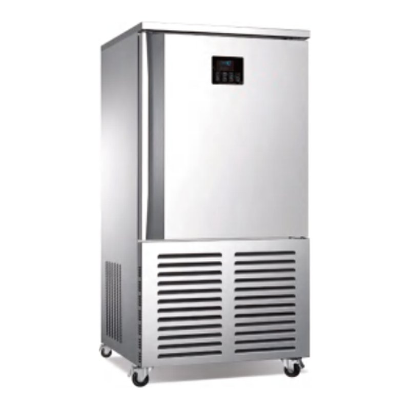 Blast Chiller & Freezer (10 Trays)